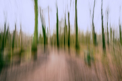 Bis bald im Wald