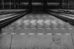 LR-_8109235