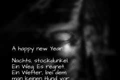 PS-AKR_8639-01012018NIKON-D810