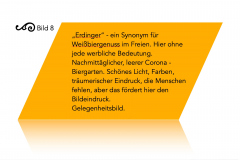 Ausstellung-80