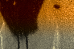 Licht-u-Farbe-4-Gelb-Wanze