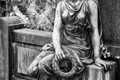 DSF5324-Bearbeitet-3