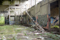 AKF_7133