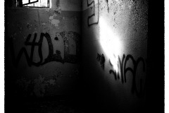 LR-NZ7_4756ps