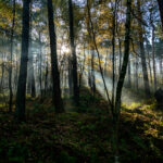 nachkommastelle@gmail.com