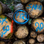 nachkommastelle@gmail.com