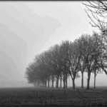 Bild von Schatten Schemen Silhouetten2024, Seite 13