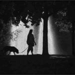 Bild von Schatten Schemen Silhouetten2024, Seite 19