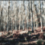 Bild von Schatten Schemen Silhouetten2024, Seite 30