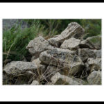 G-05 Vergänglichkeit(1)