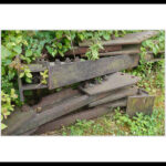 G-11 Vergänglichkeit(1)