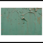 G-12 Vergänglichkeit(1)