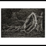 G-13 Vergänglichkeit(1)