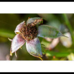 LR-NZ8_8766-Bearbeitet-Bearbeitet (2025-06-14T07_06_28.334)(1)