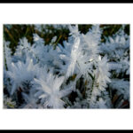 bs07 DSC06299-Bearbeitet Vergaenglichkeit(1)