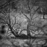 Screenshot 2025-12-05 132343