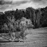 Screenshot 2025-12-05 132541